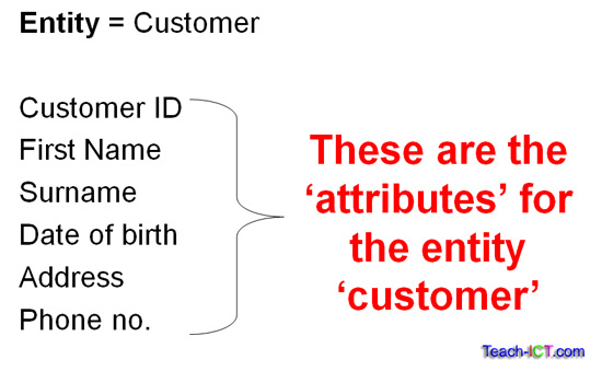 database attribute