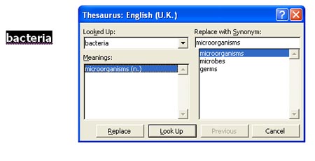 thesaurus